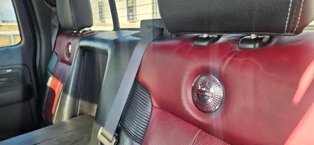 2010 HARLEY Davidson Truck - Photo 8