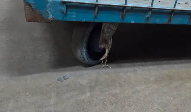 Heavy Storage - Stock - Transportation Rolling Bin Cart - Photo 7