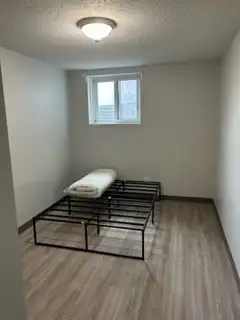 4 Bedroom Student Unit -May 1st - Photo 3