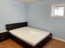 Walk Out Larger Bright Basement for Rent - Photo 3