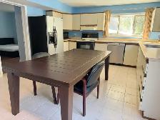 Walk Out Larger Bright Basement for Rent - Photo 4