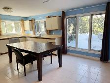 Walk Out Larger Bright Basement for Rent - Photo 5