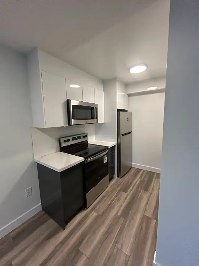 Renovated 1 Bedroom - Free Month Free - $1995 - Photo 4