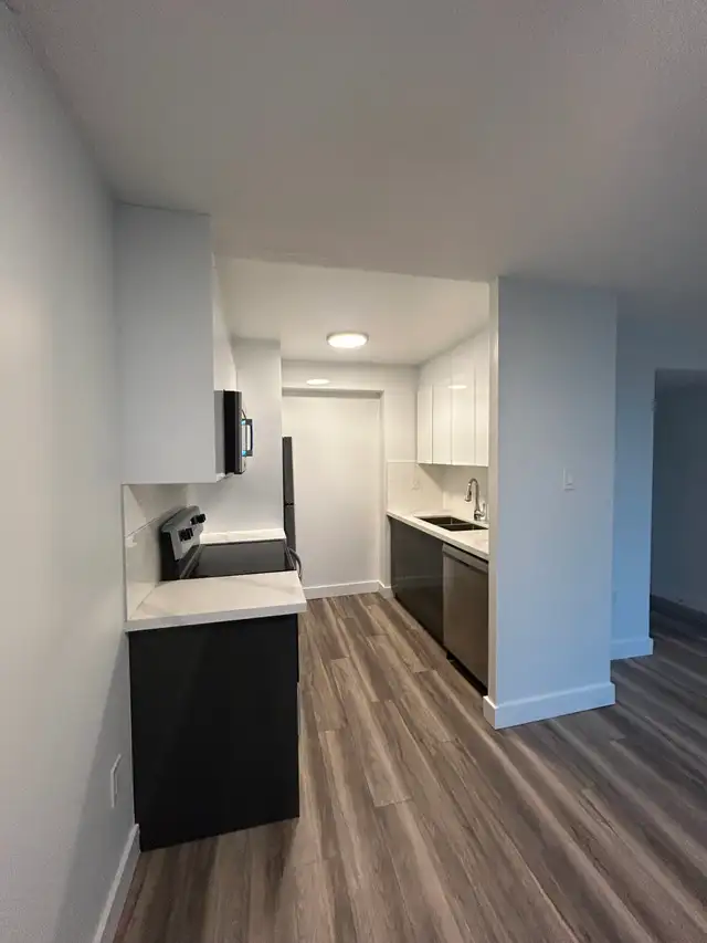 Renovated 1 Bedroom - Free Month Free - $1995 - Photo 5