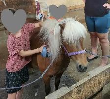 Ponette en Or - Photo 7