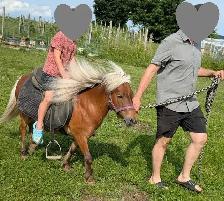 Ponette en Or - Photo 9