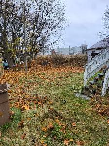 588 Harding W - 3BR West, W/D, close to amenities - Photo 12