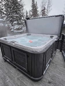 Arctic Spa hot tub - Photo 2