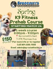 K9 Fitness Prehab Course at Sprockett's Doggy Day Camp