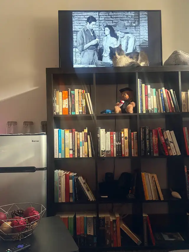 Furnished Apartment for Sublet