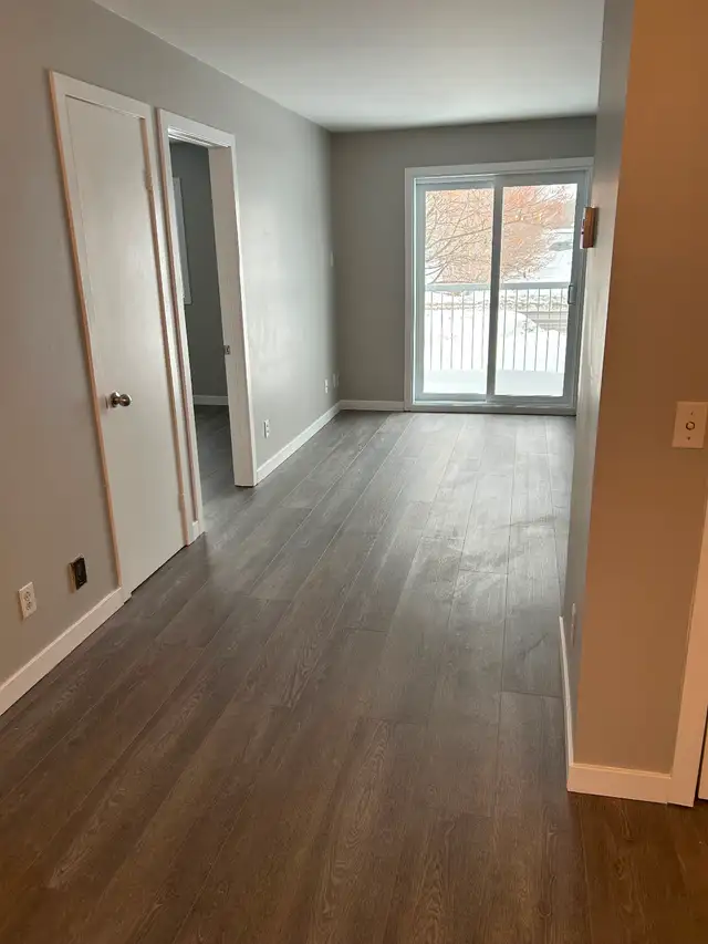 logement 4 1/2  Fraîchement remis à neuf St-Ambroise de Kildare - Photo 2