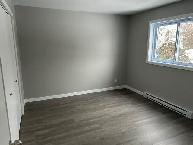 logement 4 1/2  Fraîchement remis à neuf St-Ambroise de Kildare - Photo 3