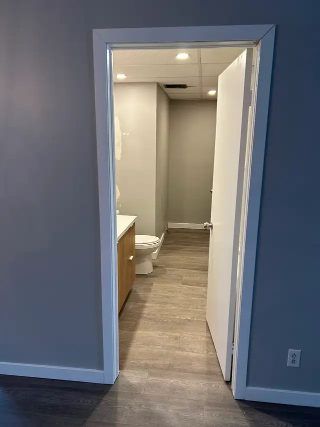 logement 4 1/2  Fraîchement remis à neuf St-Ambroise de Kildare - Photo 5