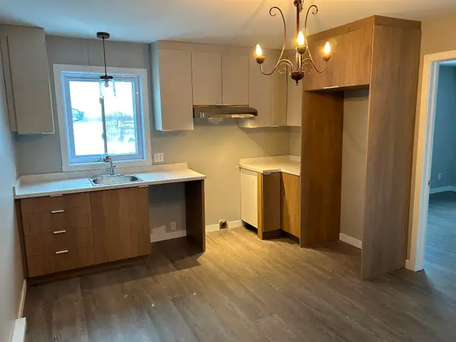 logement 4 1/2  Fraîchement remis à neuf St-Ambroise de Kildare - Photo 9