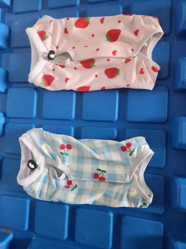 Cat/Kitten onesies (2-pack)