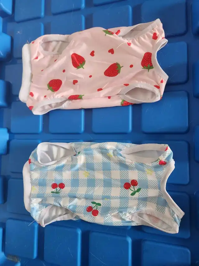 Cat/Kitten onesies (2-pack) - Photo 2