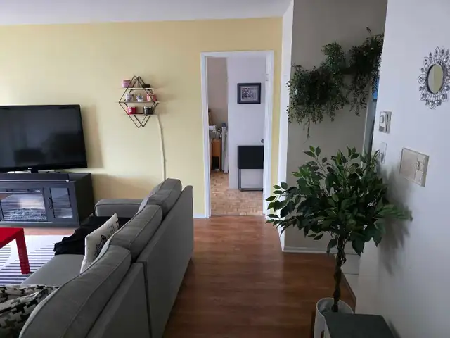 2 beds 1  bath - Apartment