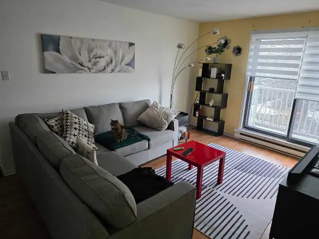 2 beds 1  bath - Apartment - Photo 2