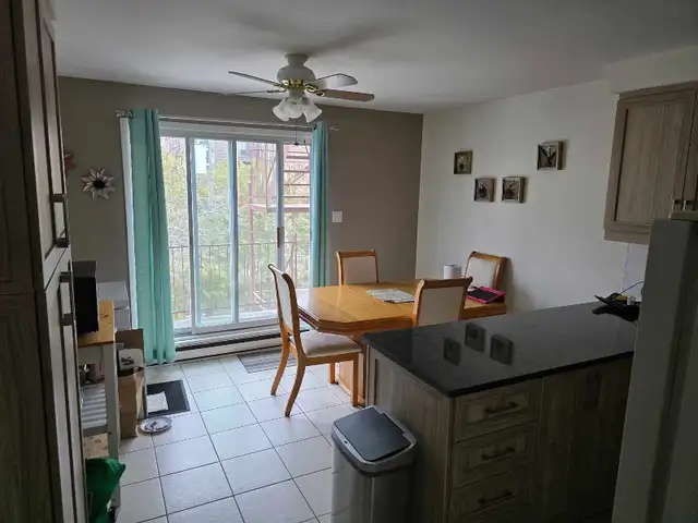 2 beds 1  bath - Apartment - Photo 6