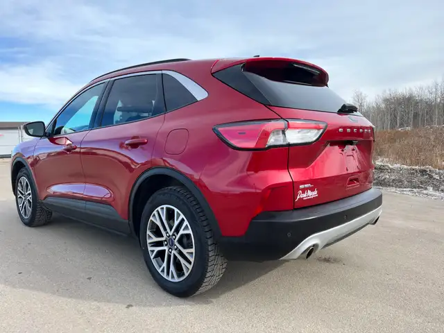 2020 Ford Escape SEL - Photo 2