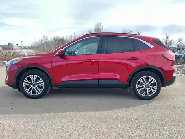 2020 Ford Escape SEL - Photo 6