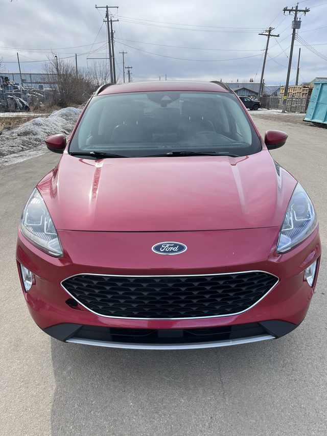 2020 Ford Escape SEL - Photo 7