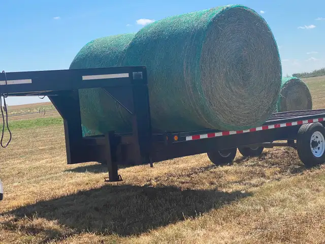 Premium Quality Alfalfa Hay for Sale
