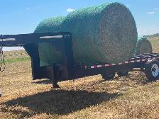 Premium Quality Alfalfa Hay for Sale