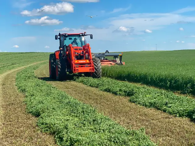 Premium Quality Alfalfa Hay for Sale - Photo 3