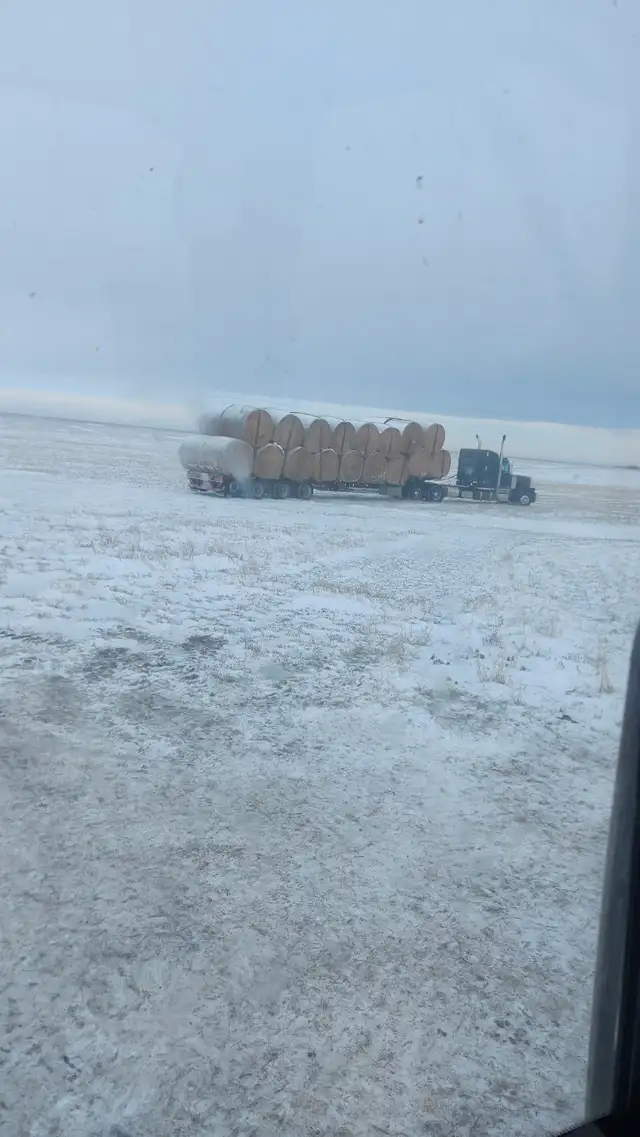 Premium Quality Alfalfa Hay for Sale - Photo 6