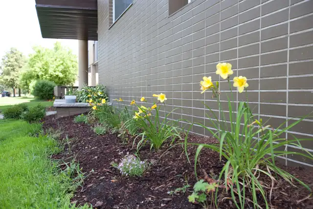 1 Bedroom Apartment in Westboro!! - Photo 10