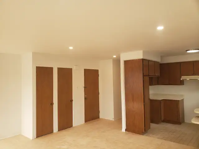 Tres Grand 4½ Apartment for Rent – Rosemont  La Petite-Patrie - Photo 4