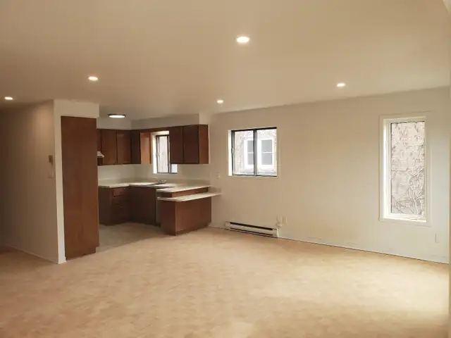 Tres Grand 4½ Apartment for Rent – Rosemont  La Petite-Patrie - Photo 6