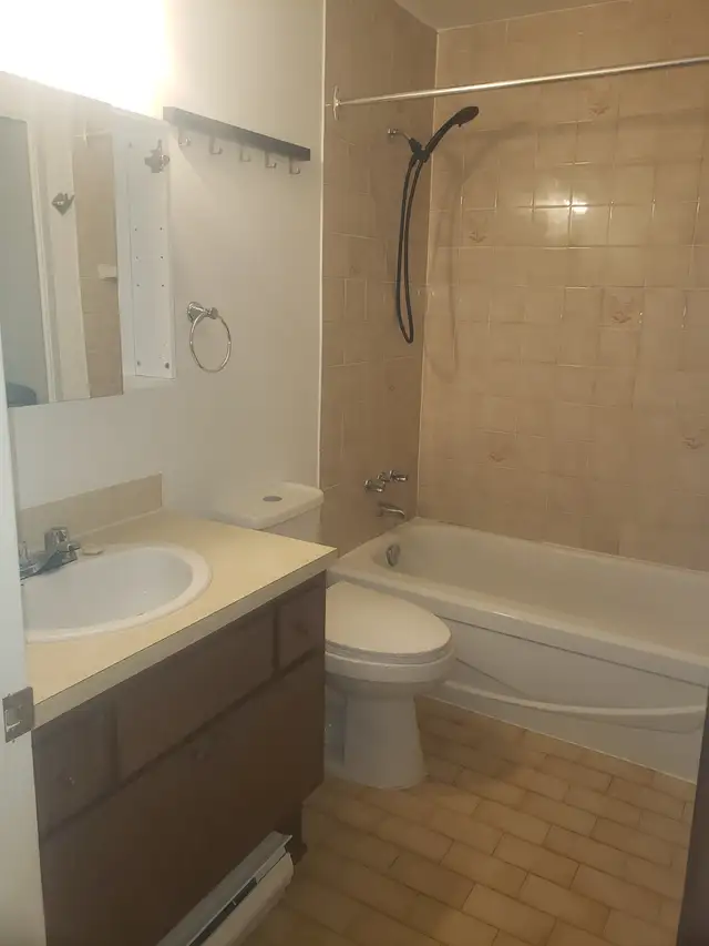 Tres Grand 4½ Apartment for Rent – Rosemont  La Petite-Patrie - Photo 18