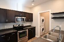 Dallas Town Centre #205 - Photo 4