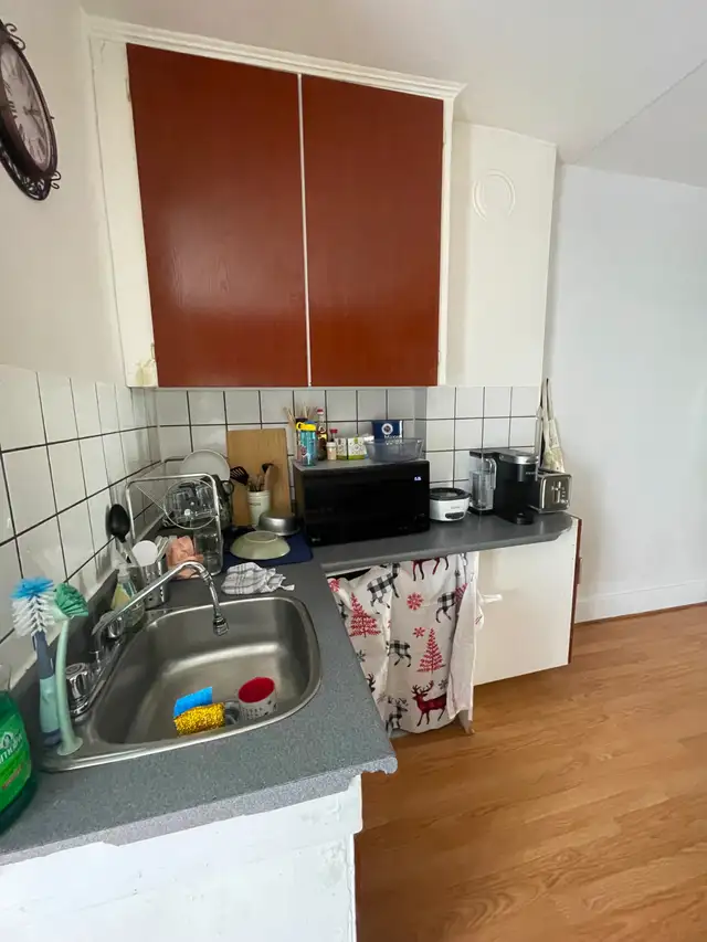 Apartement 4 1/2  à louer à Ahuntsic pour juillet - Photo 4