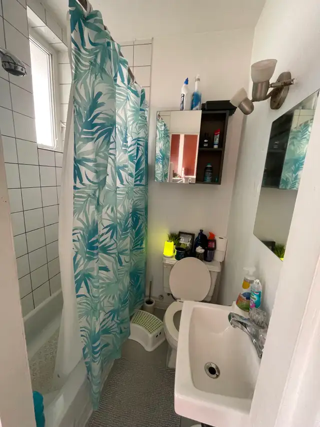 Apartement 4 1/2  à louer à Ahuntsic pour juillet - Photo 8