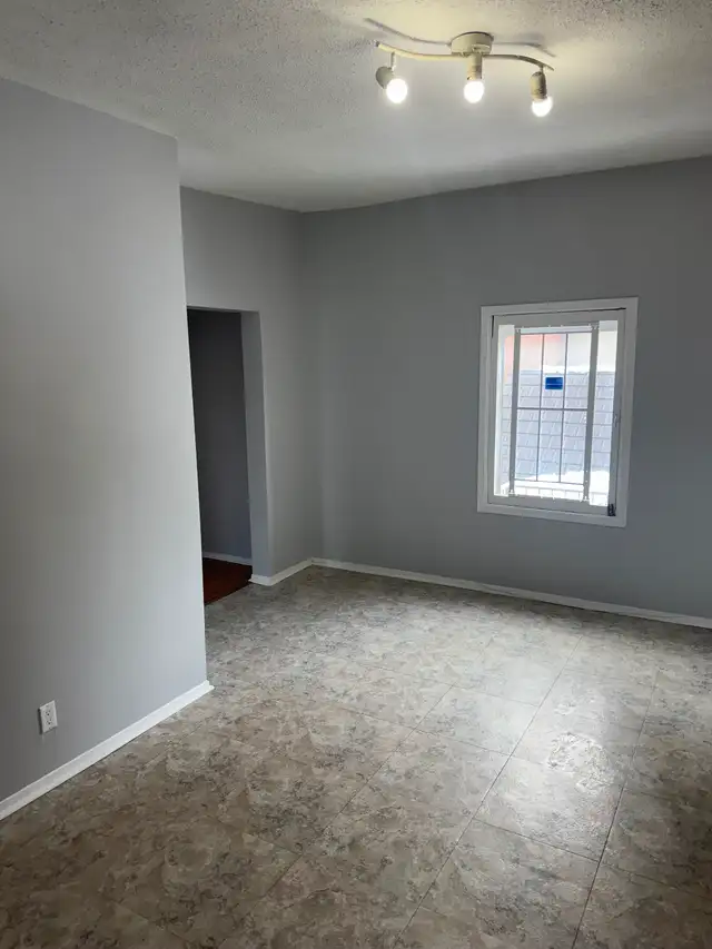 Painter and taper - Photo 4