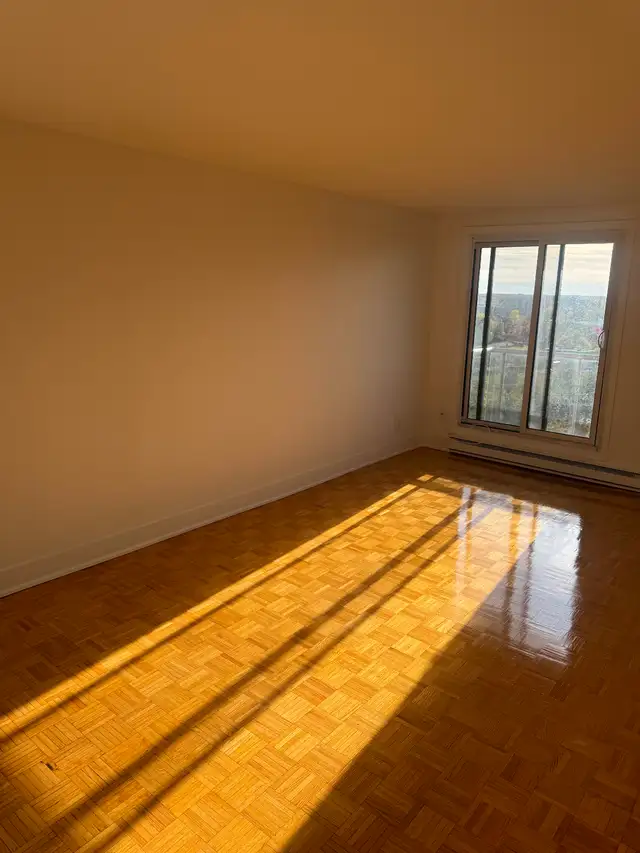 Painter and taper - Photo 5