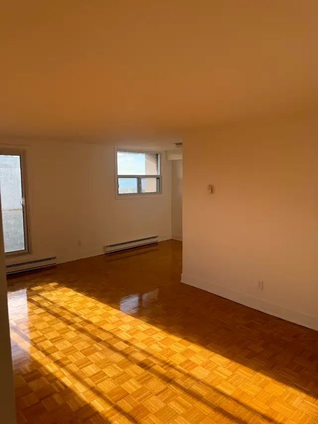 Painter and taper - Photo 6