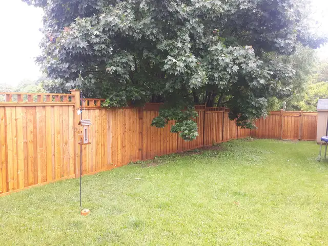 carpentry and construction - Photo 2