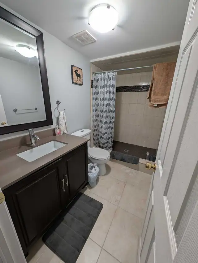 1 Bedroom Legal Basement Apartment - Photo 7