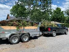 Storm Cleanup/Tree Removal