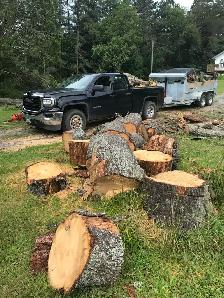 Storm Cleanup/Tree Removal - Photo 2