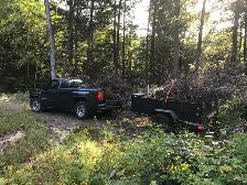 Storm Cleanup/Tree Removal - Photo 4