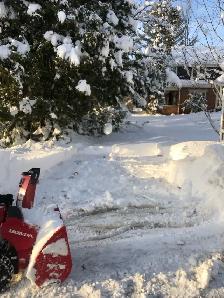 Storm Cleanup/Tree Removal - Photo 6