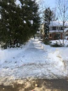 Storm Cleanup/Tree Removal - Photo 7