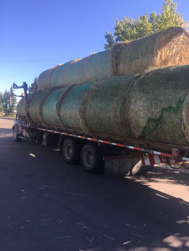 premium bale’s - Photo 3