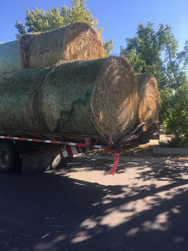 premium bale’s - Photo 4