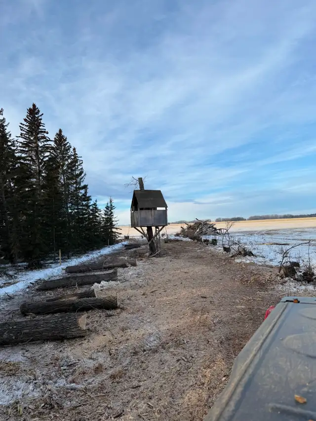 Forestry Mulching - Photo 2